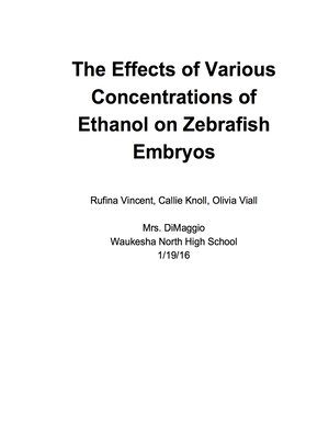 cover image of The Effects of Various Concentrations pf Ethanol on Zebrafish Embryos